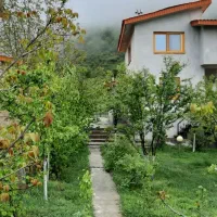 ویلا باغ