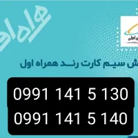 130 5 141 0991--140 5 141 0991