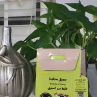 استخدام ویزیتور