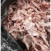 اسکلت گردن
