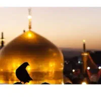 تور مشهد قسطی/ قطار و هواپیما