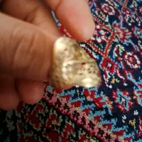 طلا طلا طلا پیداشده