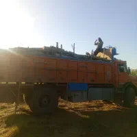 هرس وخرید فروش چوب