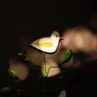 فیلمبرداری و عکاسی