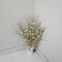 گل کریستال