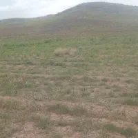 زمین-باغی-1000متر-وشاره-دستجرد