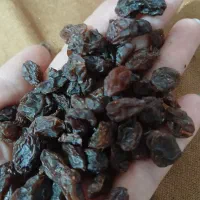 کشمش|خوردنی و آشامیدنی|رشت, دروازه لاکان|دیوار