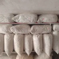 پنبه