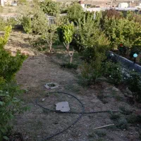 زمین فروشی