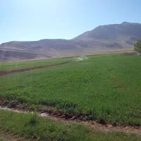 فروش زمین کشاورزی مجهز با سهمیه چاه