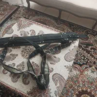 هیکلی برزنتی در حد