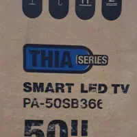 تلویزیون پانارومیک