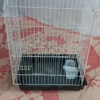 قفس پرنده ۵۰۰