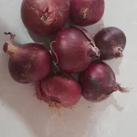 پیاز قرمز بنابی