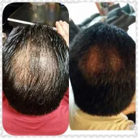 گیاهی و ارگانیک