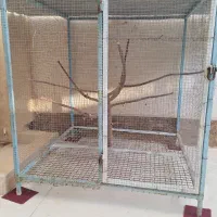 فروش قفس برای پرندگان