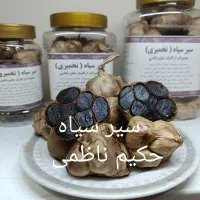 نمایندگی مرکز پخش سیر سیاه تخمیری حکیم ناظمی