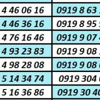 0919.32.100.85|سیمکارت|کرج, بنیاد|دیوار