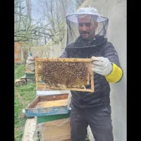 عسل شهرستانک
