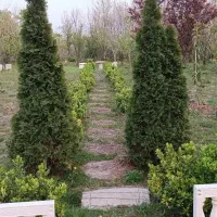 اجاره کوتاه مدت ویلا
