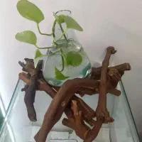 گلدان چوبی وسنگی