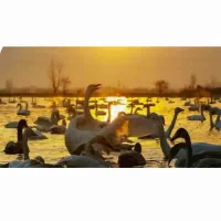 برگزاری تور آموزشی و گردشگری  فریدونکنار