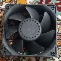جت فن