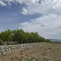 باغ-ویلا-گلخانه-کندرود-دستجرد-خلجستان