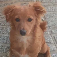 به علت جابه جایی