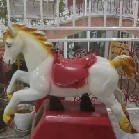 اسب تکان دهنده سالم