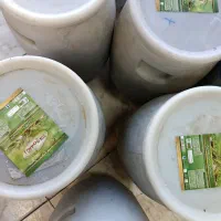 خیارشور ممتاز ساندویچی