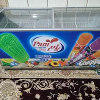 یخچال فریزر ۶۰۰لیتری نو