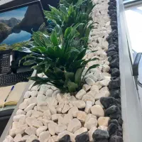 باغبان و طراحی فضای سبز