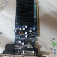 کارت گرافیک 256 مگابایت Asus