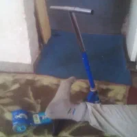 اسکتر