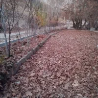 سالن جشن تولد و خواستگاری  آنجل پالاز