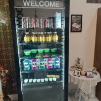 یخچال ایستاده تک درب البرز صنعت