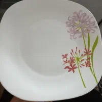 بشقاب آرکوپال