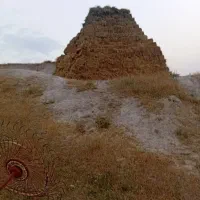 علوفه بسته بندی تمیزو با کیفیت بالا تازه ومرتب