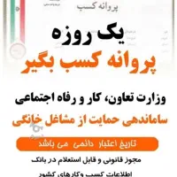 صدور پروانه کسب خانگی