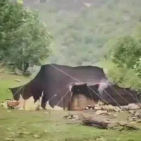 سیاه چادر