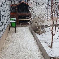 اجاره ویلاباغ