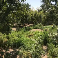 850-متر-باغ-مجتمع-باغستان-شهریار-دهشاد-چهاردیواری