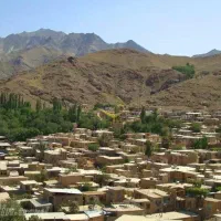 ملک در روستای نشلج