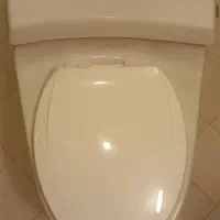 توالت فرنگی چینی کرد