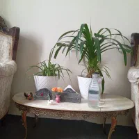 میز برنزی(آذر برنز) بیضی