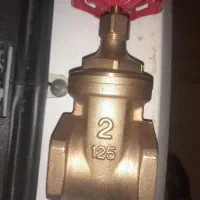 شیر برنجی