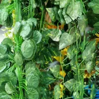 گرین وال چمن مصنوعی فنس چمن