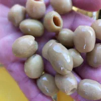محصولات طارم زیتون روغن زیتون سیر باقالی