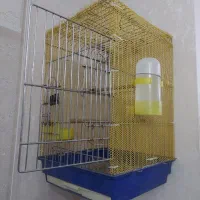 قفس بزرگ محکم
